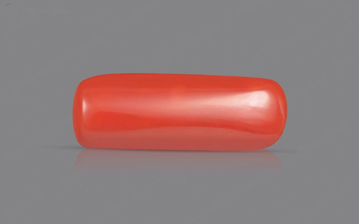 Red Coral - 8.01 Carats