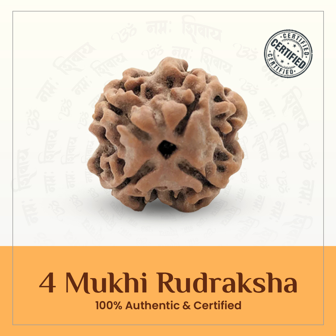 Four Mukhi Rudraksha