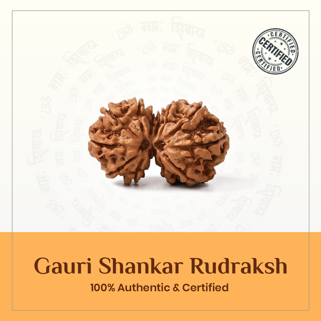 Gauri Shankar Rudraksha